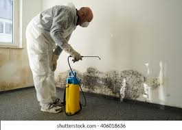 Why You Should Choose Our Mold Remediation Services in Placeholder8